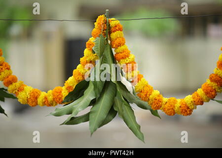 Ringelblume Girlanden und grüne Blätter als Dekoration während Dussehra Festival in Indien Stockfoto