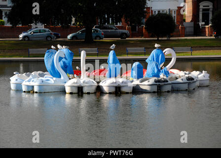 Tretboot in Form von Schwänen, Canoe Lake, Southsea, Porstmouth, Hampshire, England, teilweise als außerhalb der Saison abgedeckt Stockfoto