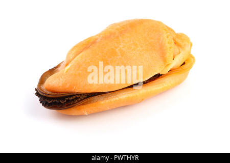 Eine Muschel ohne Schale auf weißem Hintergrund. Stockfoto