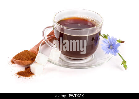 Chicorée trinken und Zichorien Blume auf weißem Hintergrund. Stockfoto