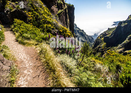 Bunte Bergrücken Pfad mit vulkanischen Formationen neben, Pico Do Arieiro, Madeira Stockfoto