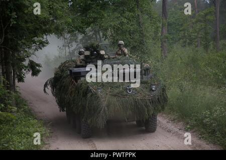 Ein US-M1126 Stryker, fährt durch einen Wald während Sabre Streik 17 in Rukla, Litauen, 20. Juni 2017. Sabre Streik 17 ist eine US-Army Europe-geführten Multinationalen Kräfte kombiniert jährlich durchgeführten Studie des NATO-Bündnisses im gesamten Ostseeraum und Polen zu verbessern. Die diesjährige Übung beinhaltet integrierte und synchronisierte Abschreckung-orientierte Ausbildung für die Interoperabilität und die Bereitschaft der 20 teilnehmenden Nationen Streitkräfte zu verbessern. Stockfoto