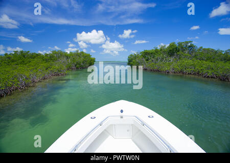 Szene aus Salzwasser Fliegenfischen für bonefish und Tarpon, roosterfish, Mahi Mahi, Thunfisch, Makrele, und ermöglichen. Stockfoto