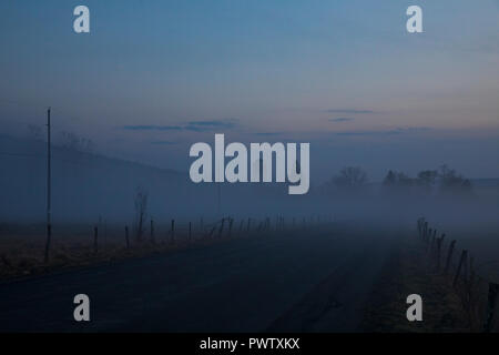 Nebel geistert durch die Landschaft während einer warmen Winter Abend in Jenksville, NY. Stockfoto