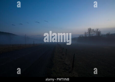 Nebel geistert durch die Landschaft während einer warmen Winter Abend in Jenksville, NY. Stockfoto