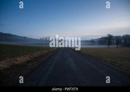 Nebel geistert durch die Landschaft während einer warmen Winter Abend in Jenksville, NY. Stockfoto