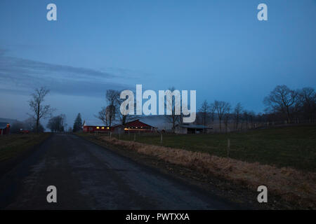 Nebel geistert durch die Landschaft während einer warmen Winter Abend in Jenksville, NY. Stockfoto