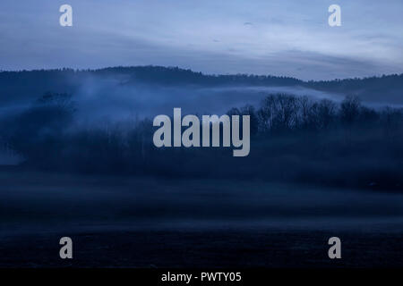 Nebel geistert durch die Landschaft während einer warmen Winter Abend in Jenksville, NY. Stockfoto
