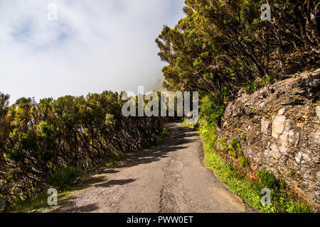 25 Fontes 25 Quellen Levada Wanderungen Traill, Rabacal, Madeira Portugal Stockfoto