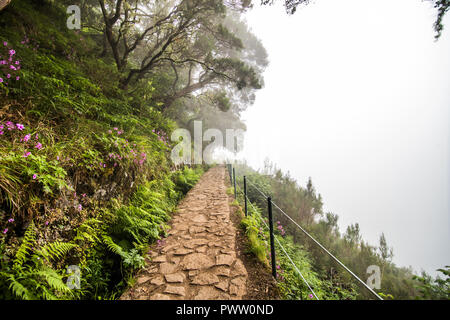 25 Fontes 25 Quellen Levada Wanderungen Traill, Rabacal, Madeira Portugal Stockfoto