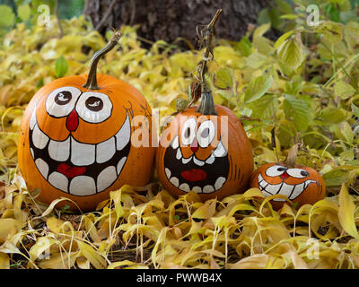 Drei Lächeln malte Jack-o-Lantern Kürbisse, eine große, mittlere und kleine, sitzen unter getrocknete Blätter mit einem Baum im Hintergrund. Flache dept Stockfoto