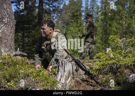 Sgt. Gabriel Morales, ein rifleman mit Marine Drehkraft Europa 17.1, ortet Feind der Koordinaten während eines Anrufs für Feuerwehr Übung zum 29. Juni 2017, in Stjørdal, Norwegen. Der Ruf nach Feuer war der erste von sieben Stationen Marines während einer Gruppe Wettbewerb gereist. Andere Stationen enthalten praktische Anwendung in land Navigation, squad Hinterhalt, reconnaissance Patrol, die Aufträge zu bearbeiten, Haftpflicht- und Unfallversicherung Evakuierung. Stockfoto