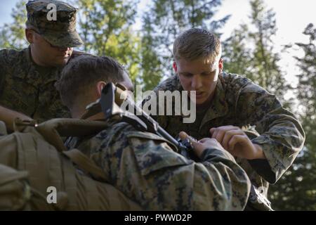 Lance Cpl. Wyatt McKee, ein rifleman mit Marine Drehkraft Europa 17.1, bewertet in einem simulierten Unfall während einer Gruppe Wettbewerb Juni 29, 2017, in Stjørdal, Norwegen. In diesem Segment der Wettbewerb Marines hatte einen Unfall, Evakuierung durchzuführen. Der Wettbewerb gedrängt Marines an ihre physischen und psychischen Grenzen und Schwachstellen verbessert werden. Stockfoto