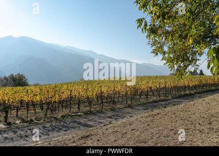 Panorama Landschaft mit Alpine Village und golden Weinberg unter wolkenlosen Abendhimmel mit Berg Silhouetten Stockfoto