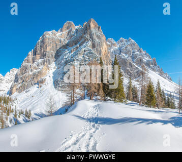 Imposanten Berg Wand in die italienischen Alpen, schneebedeckte Berge, frische Spuren im Schnee führen zu den Wald. Winter Schneeschuhwandern. Stockfoto