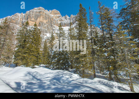 Moiazza mountain South Gesicht zur Sonne in einer wolkenlosen Winter Tag ausgesetzt. Viel frischer Schnee auf dem Boden, große Schneeschuhwandern im Wald. Stockfoto