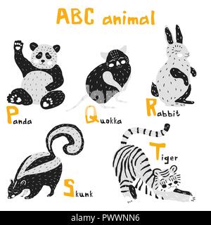 Vektor Hand gezeichnet cute abc Alphabet Tier skandinavisches Design, Panda, quokka, Kaninchen, Skunk, Tiger Stock Vektor