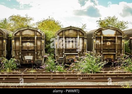 Dampfzug und Vintage aufgegeben Kutschen Stockfoto