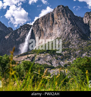 Herrliche Aussicht von Yosemite Falls an einem sonnigen Tag Stockfoto