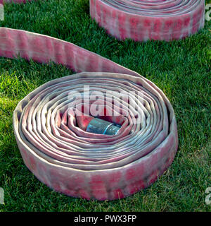 Paar Spiralkabel firehose auf sonnenbeschienenen Grasboden Stockfoto