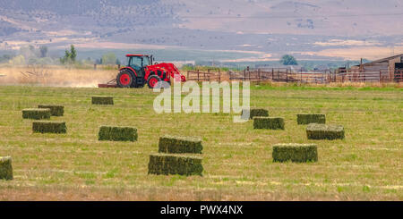 Roter Traktor und alten Scheune auf einem Feld in Utah Valley Stockfoto