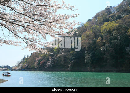 Kirschblüte in Kyoto Arashiyama Stockfoto