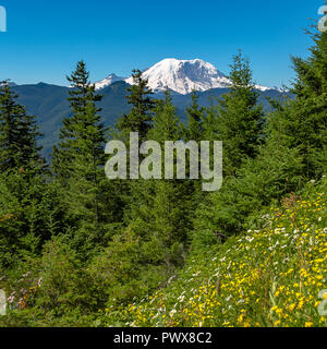 Bäumen und Wildblumen mit Blick auf Mount Rainier Stockfoto