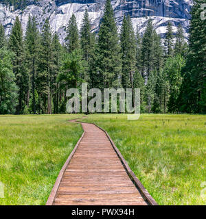 Holz- Pfad auf einem grasbewachsenen Gelände in Yosemite, CA Stockfoto