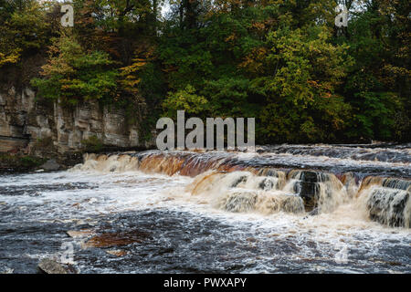 Der Fluss Swale in Richmond Yorkshire an einem bewölkten Herbst Tag. (Geschwollenen Fluss, schnell fließende, am schnellsten fließenden Fluss in England, swaledale). Stockfoto