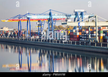 Container Terminal im Rhein-Neckar-Hafen Mannheim, flächenmäßig das größte Land in Deutschland port, container Umschlag von Fluss-, Schienen eine Stockfoto