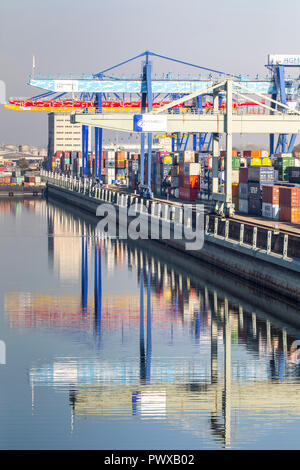 Container Terminal im Rhein-Neckar-Hafen Mannheim, flächenmäßig das größte Land in Deutschland port, container Umschlag von Fluss-, Schienen eine Stockfoto