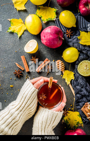 Mädchen Halten und trinken Tasse herbst winter Hot würzigen Kaffee mit roten Äpfeln, Zitronen, Zimt, Anis, Honig, Dunklen rusty Background Copy space, Hände in Pic Stockfoto
