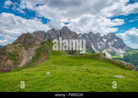 Close-up Panorama der Pale di San Martino in den italienischen Dolomiten. Imposante felsigen Gipfeln, mit Steinschlag und Moräne, Sommer Wildblumen, Gras. Stockfoto