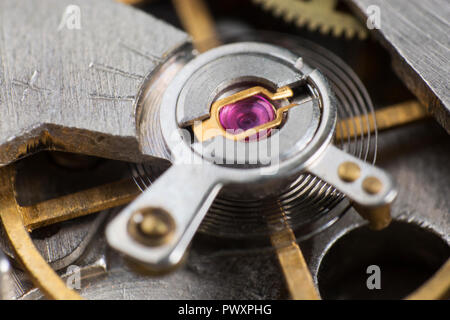 Extreme Nahaufnahme der innerhalb einer Armbanduhr Fall Stockfoto