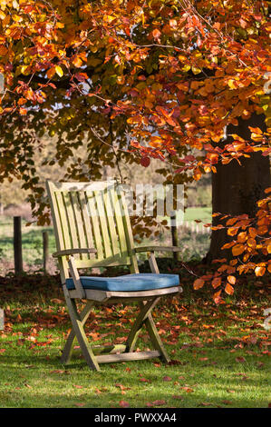 Ein Holz garten Stuhl auf dem Rasen neben einem Buche Hecke, im Herbst Sonnenschein Stockfoto