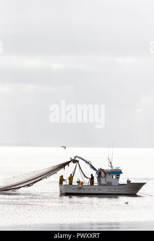 Barcos de pesca de cerco Stockfoto