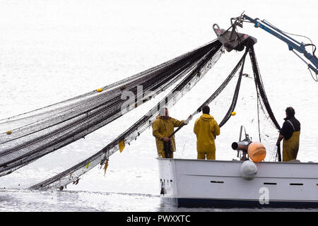 Barcos de pesca de cerco Stockfoto