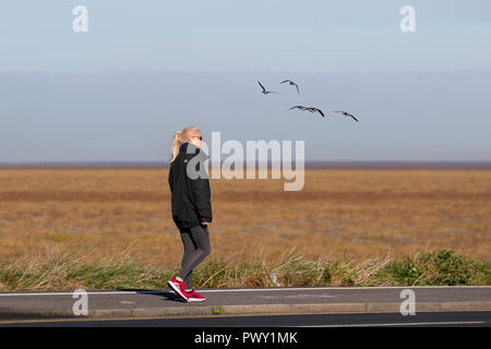 RSPB Marshside, Lancashire. UK Wetter 18/10/2018 Helle, sonnige, kalte Start in den Tag als rosa Fuß Gänse Kopf für Ihren rippenbögen Futterstellen. Migration beginnt im frühen Herbst in das Überwinterungsgebiet, der fast ausschließlich in Großbritannien sind. Rosa-Gänse migrieren in Herden, die Zahl in der vielen tausend Derzeit kann die Zählung in diesem Bereich ist ein etwa 12.000 Vögel. Kredit; MediaWorldImages/AlamyLiveNews. Stockfoto