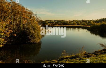 Penarth, Wales, UK. Okt, 2018 18. Penarth, Wales, Großbritannien, 18. Oktober 2018. Herbst Farben fangen bei Cosmeston Lakes Country Park zu zeigen. Credit: Mark Hawkins/Alamy leben Nachrichten Stockfoto