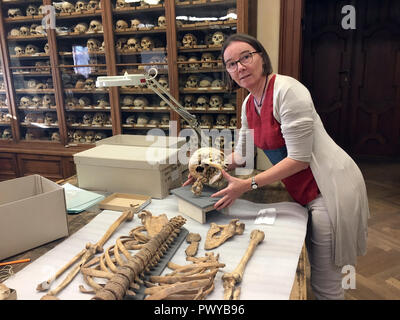 Wien, Österreich. 16 Okt, 2018. Karin Wiltschke, stellvertretender Direktor der Osteological Collection des Wiener Naturhistorischen Museum (NHM), steht neben dem Skelett eines 25 bis 30 Jahre alten Mann, der durch zahlreiche Schläge vor etwa 1000 Jahren getötet wurde. Die Knochen zeugen noch heute von der tödlichen Verletzungen heute. Ab 24. Oktober 2018 bis 28. April 2019 die Ausstellung "Krieg. Auf den Spuren einer "Evolution" gesehen werden. (Dpa: "Eine fast unbekannten Schatz von Knochen - ein Film, der auf Krieg Geschichte" vom 19.10.2018) Credit: Matthias Röder/dpa/Alamy leben Nachrichten Stockfoto