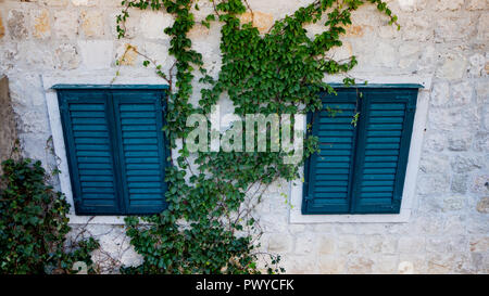 Zwei Fenster in alten Mauer mit blauen Fensterläden und grünem Efeu Stockfoto