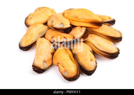 Muscheln ohne Schale auf weißem Hintergrund. Stockfoto