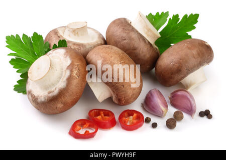 Royal Braun Champignon mit Petersilie, Knoblauch und Pfeffer auf weißem Hintergrund. Stockfoto