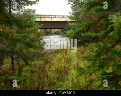 Ein Pfad führt zu einem Fluß in den Adirondack Mountains von New York State Stockfoto