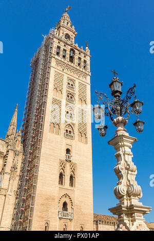 Glockenturm, die Giralda in Sevilla, Andalusien, Spanien, Europa Stockfoto