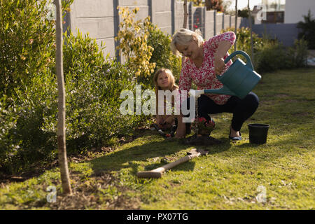 Großmutter und Tochter Pflanzen im Garten Stockfoto