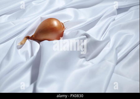 Zwiebel vor weißem Hintergrund Stockfoto
