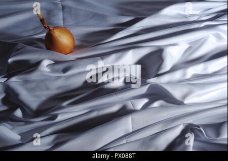 Zwiebel vor weißem Hintergrund Stockfoto