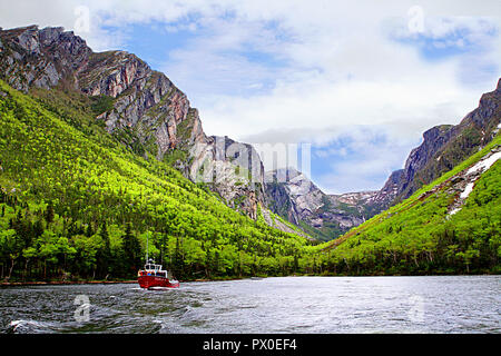 Tour Boot in Western Brook Pond, Gros Morne National Park, Neufundland, Kanada, Tischplatte in den Bergen, im Landesinneren fjiord Stockfoto