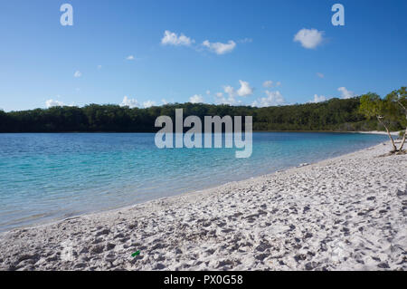 Dies ist ein wunderschöner kleiner See auf Fraser Island, Australien. Bemerkenswerte Farbe Wasser und Sand. Stockfoto